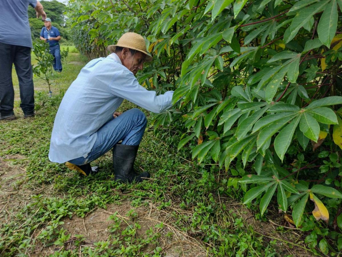 Idam comemora Dia da Extensão Rural nesta terça-feira (06/12)