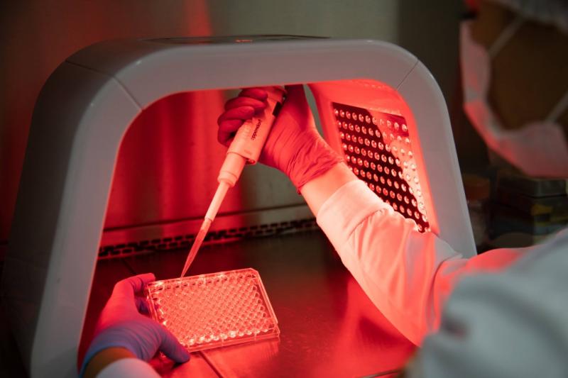 Pesquisa apoiada pelo Governo do Amazonas avalia o potencial de novas drogas antitumorais