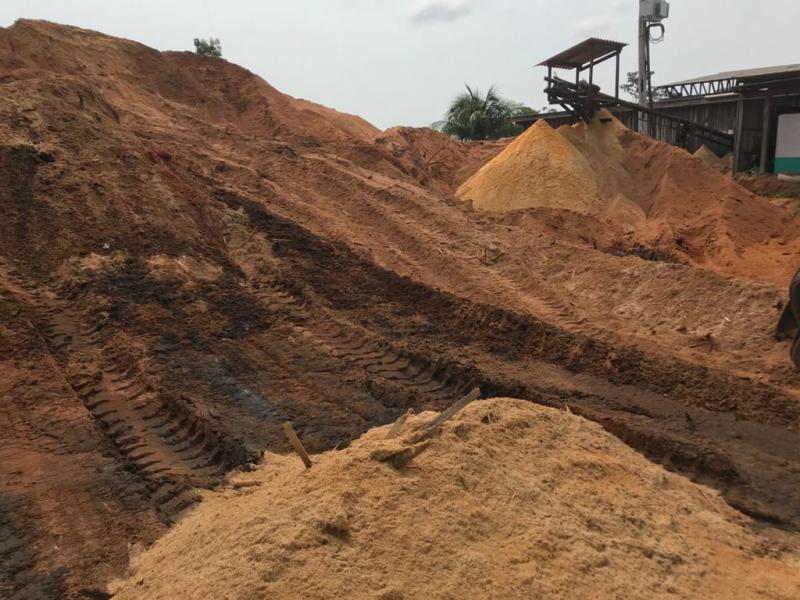 Resíduos de madeira têm potencial para inibição de fungos e cupins, aponta pesquisa fomentada pela Fapeam 