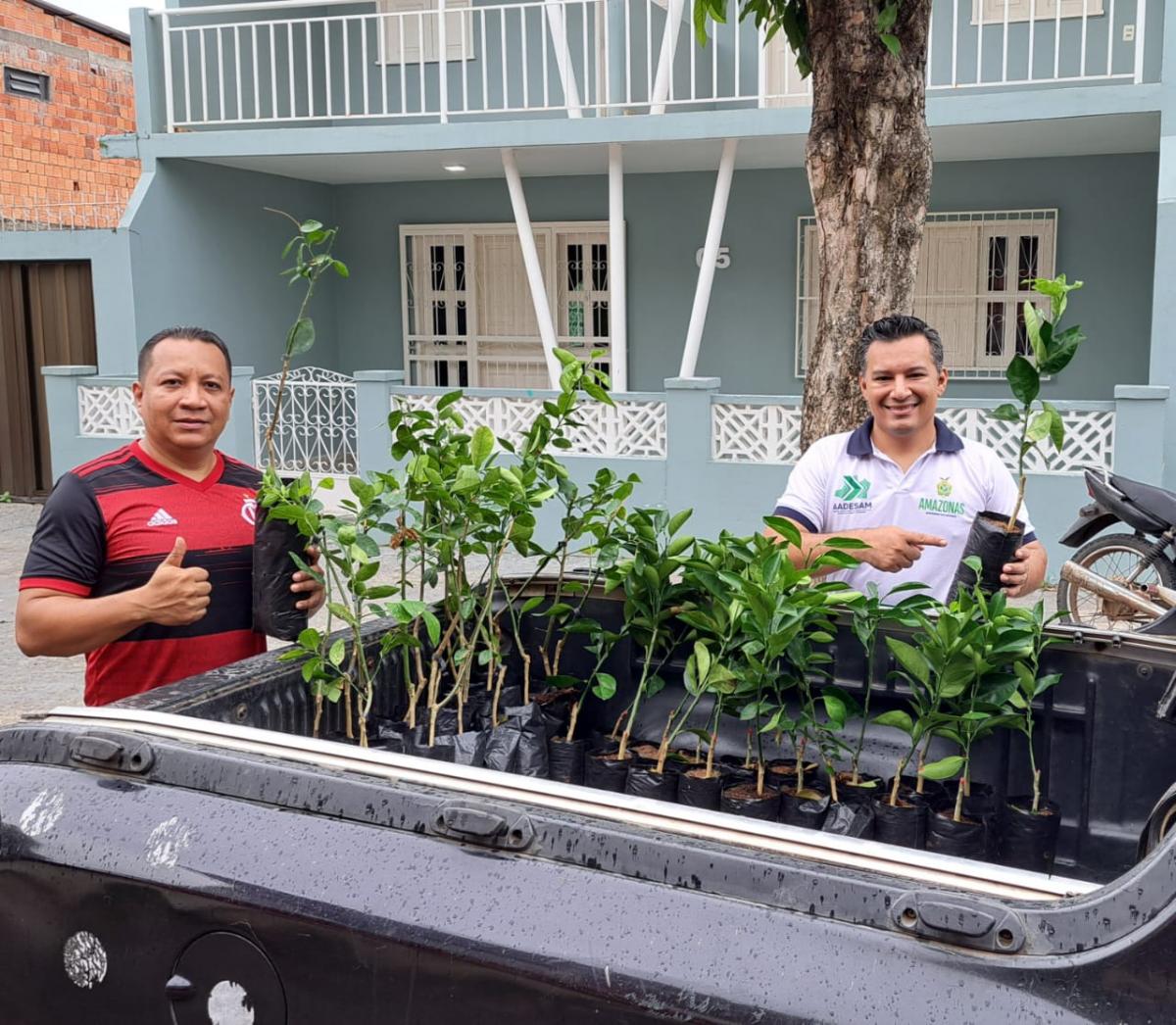 Idam fomenta a agricultura familiar em Codajás com distribuição de mudas de citros