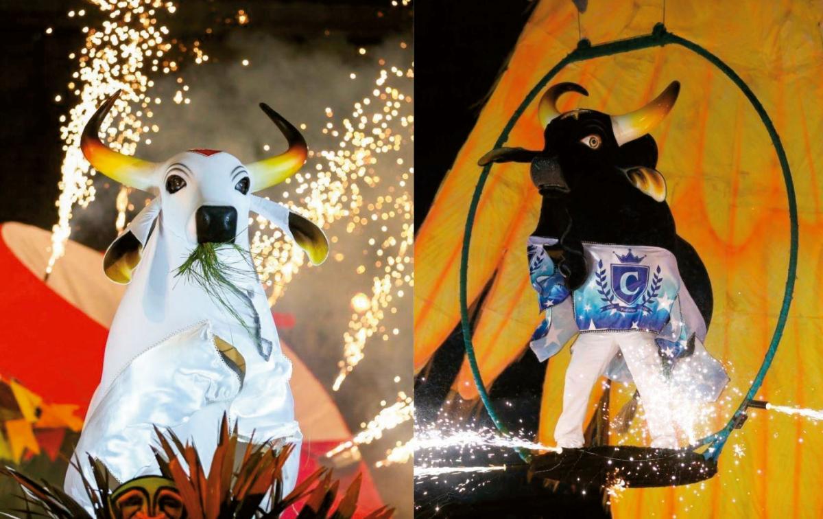 Caprichoso e Garantido se unem para socorrer povo yanomami