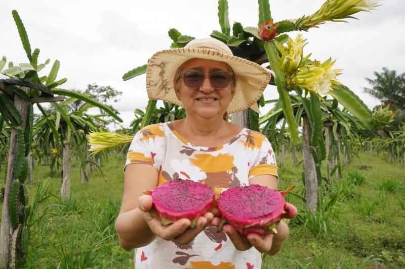 Fomentos do Governo do Estado incentivam produção e proporcionam qualidade de vida para o trabalhador rural Fomentos do Governo do Estado incentivam produção e proporcionam qualidade de vida para o trabalhador rural