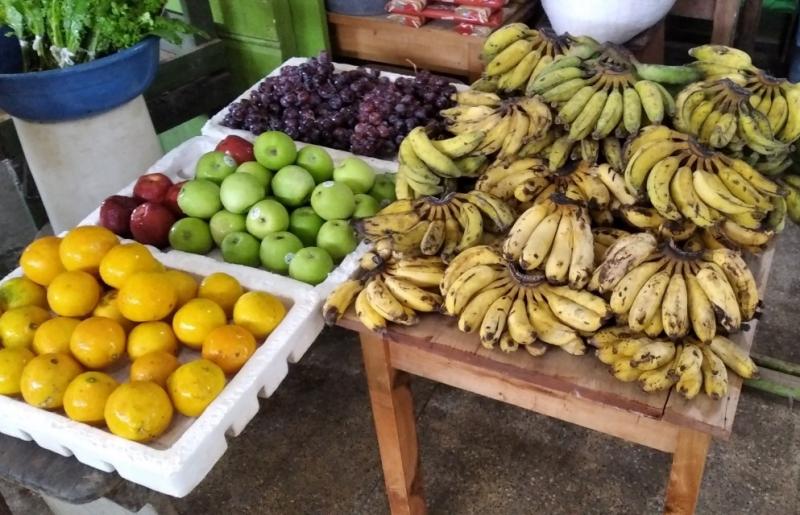 Governo do Amazonas apoia pesquisa sobre as potencialidades da fruticultura no Alto Solimões  Governo do Amazonas apoia pesquisa sobre as potencialidades da fruticultura no Alto Solimões
