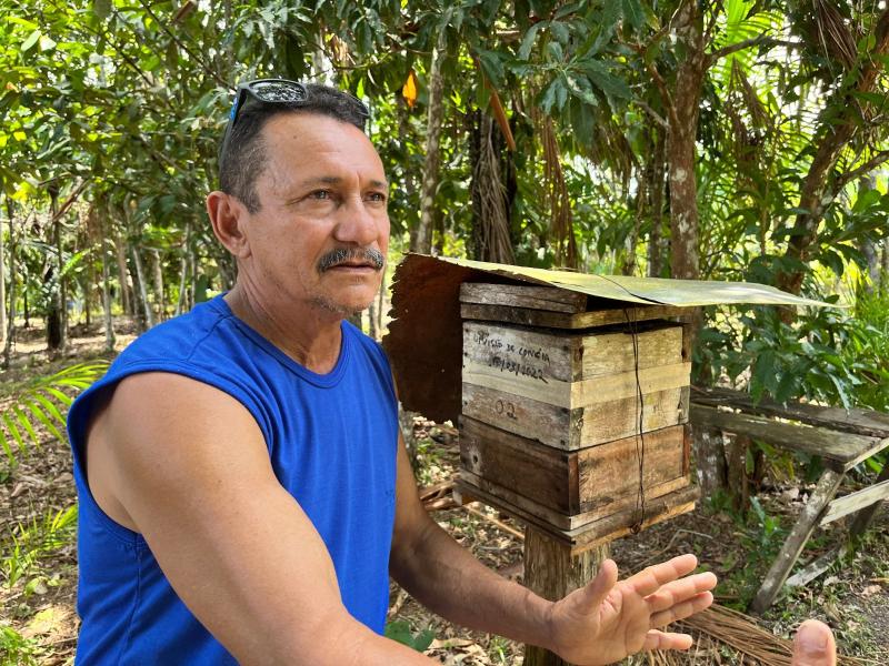 Meliponicultor prevê expansão da criação de abelhas a partir de incentivo do Governo do Amazonas Meliponicultor prevê expansão da criação de abelhas a partir de incentivo do Governo do Amazonas