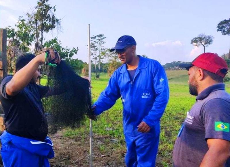 Adaf determina obrigatoriedade de vacinação contra a raiva dos herbívoros em três municípios