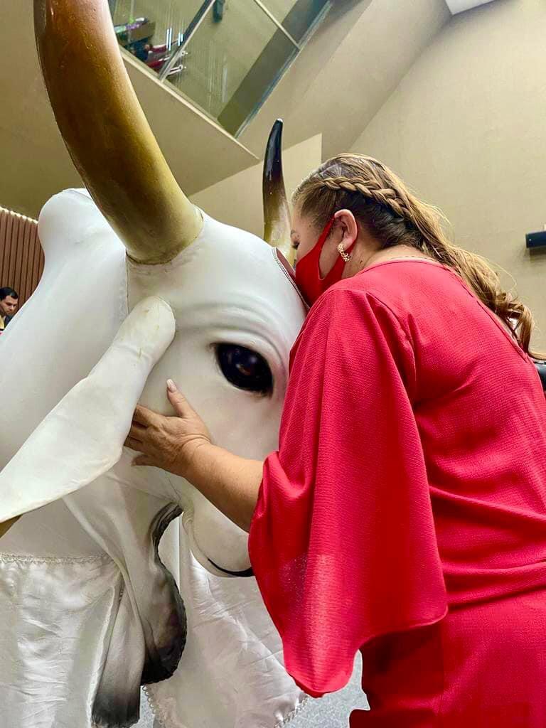 “Minha decisão é NÃO a prorrogação de mandato”, declara vice presidente do Garantido