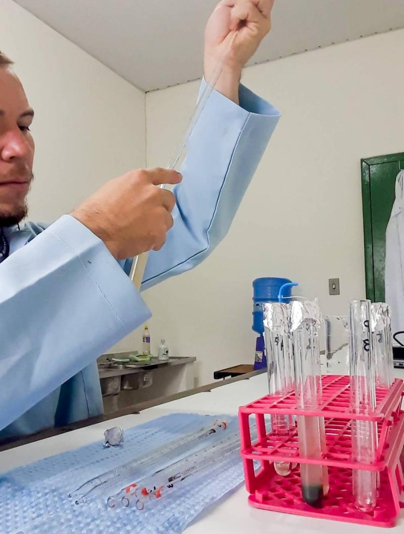 Pesquisa apoiada pelo Governo do Amazonas identifica mais de 100 espécies de algas em Parintins