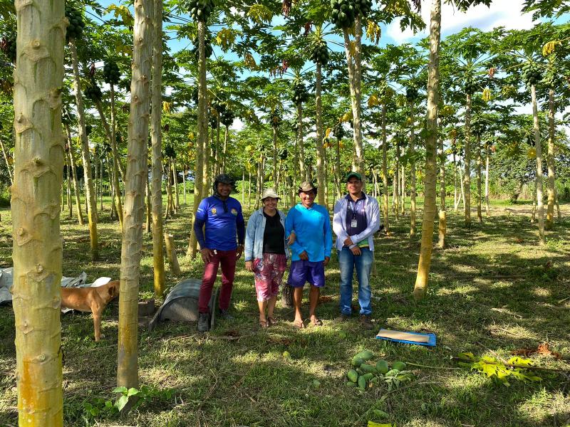 Em Barreirinha, Idam leva extensão rural e capacitação a produtores em série de ações de assistência técnica