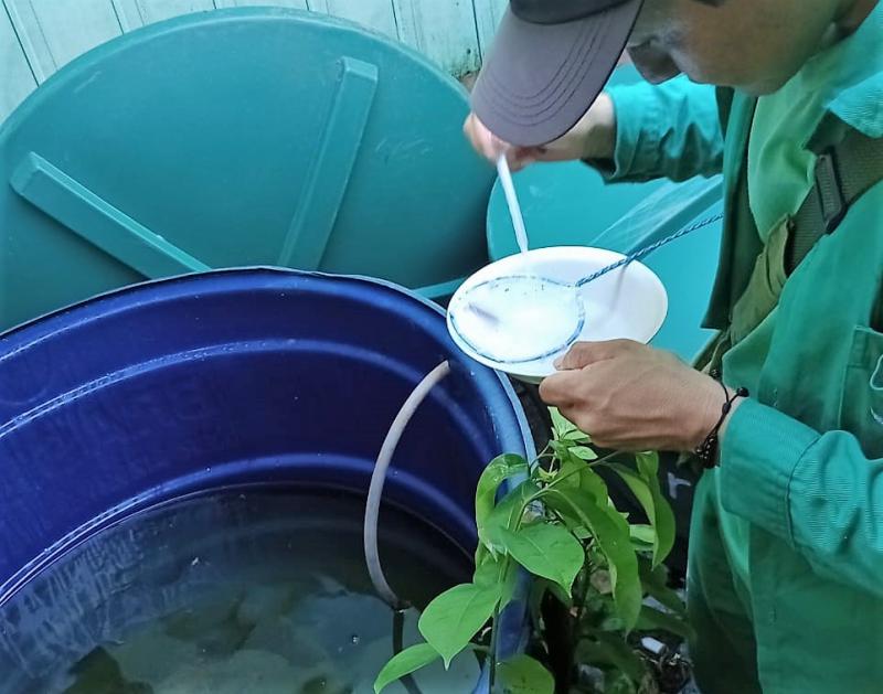 Saúde intensifica monitoramento da dengue em municípios do Amazonas