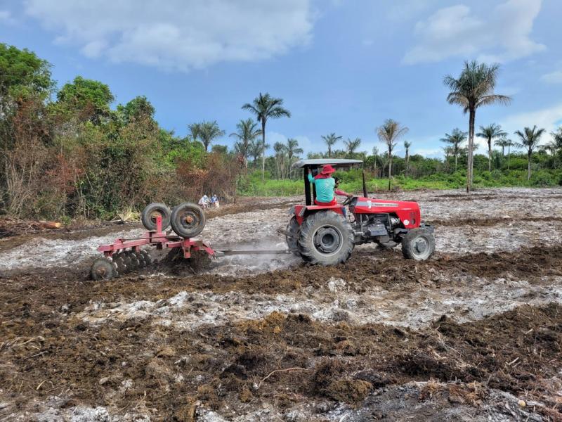 Idam inicia atividades com Unidade Demonstrativa de Abacaxi, em Barreirinha