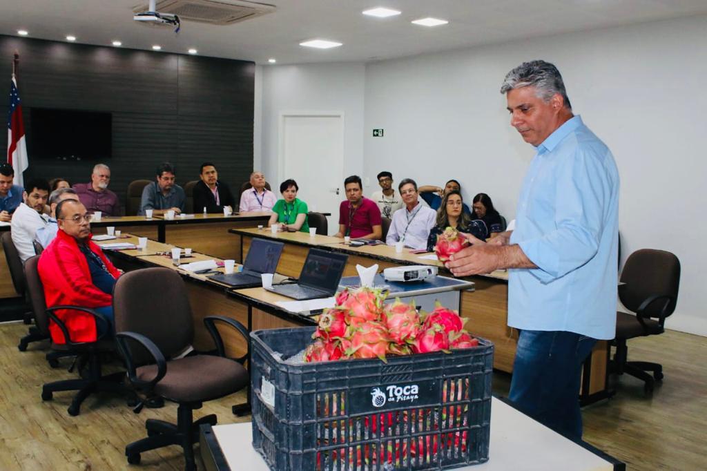 Sedecti incentiva crescimento da produção de pitaya no Amazonas