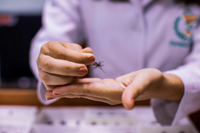 Apoiado pelo Governo do Amazonas, estudo analisa casos de doença de Chagas no estado 