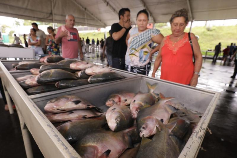População adquire peixes com preço acessível durante Feirão do Pescado do Governo do Amazonas