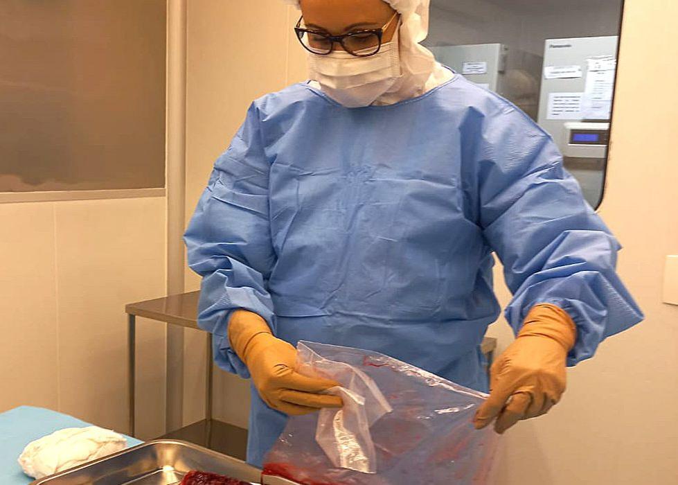 Pesquisa desenvolve curativos biológicos à base de placenta