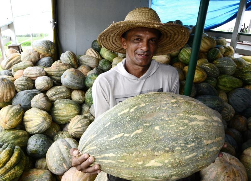 Governo do Amazonas escoa 184 toneladas de produtos por meio do programa Balcão de Agronegócios