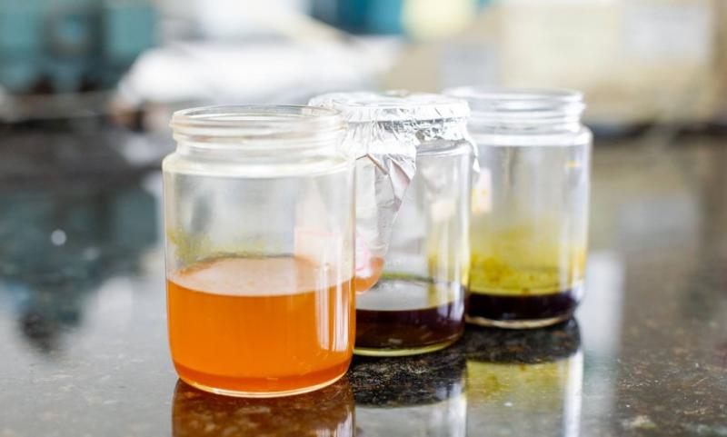 Pesquisa apoiada pelo Governo do Amazonas aponta potencial fitocosmético na semente de guaraná e no óleo do pau-rosa