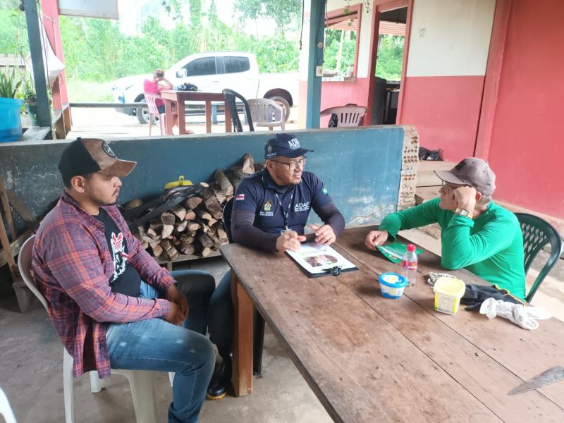 Adaf intensifica ações de contenção e erradicação da monilíase do cacau e do cupuaçu