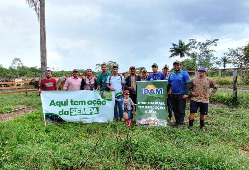 Idam atua em primeira etapa de protocolo para inseminação artificial de bubalinos e bovinos em Barreirinha