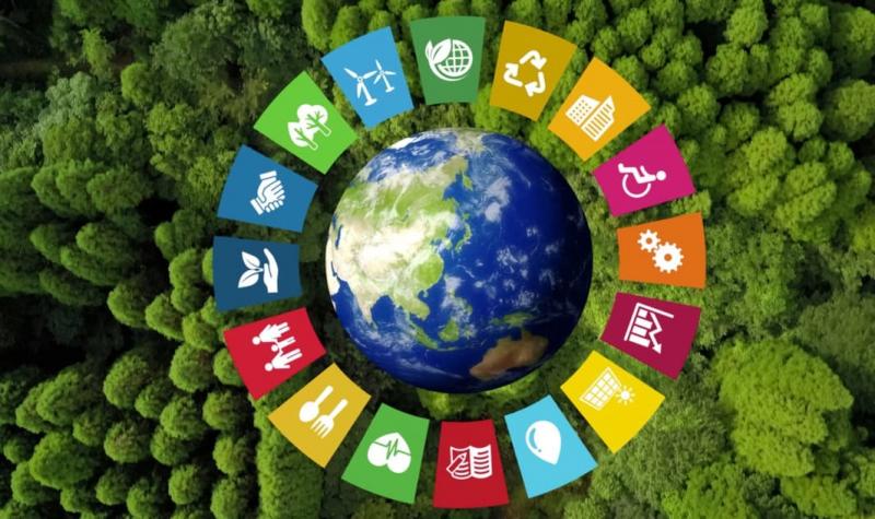Sustentabilidade, a sexta onda que já se forma no horizonte