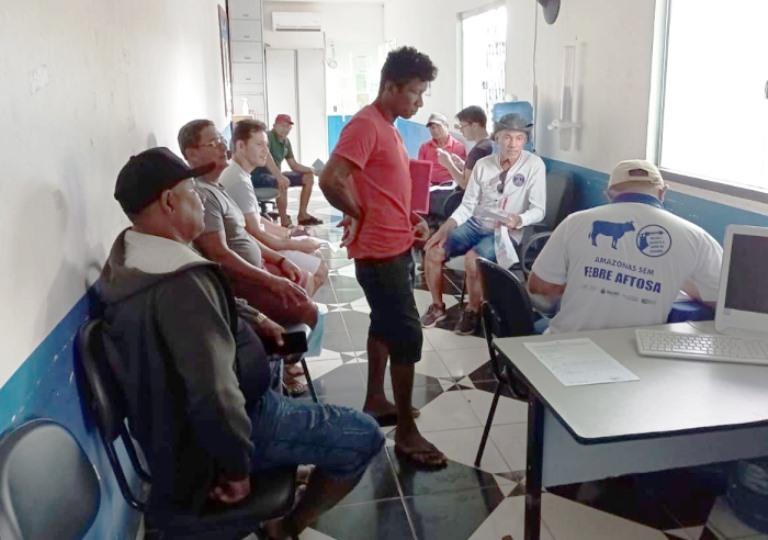 Adaf prorroga notificação da vacinação contra a febre aftosa