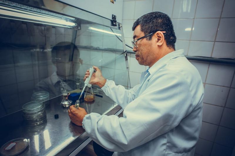 Pesquisa revela que óleos essenciais de plantas medicinais têm potencial no controle de doenças em vegetais 