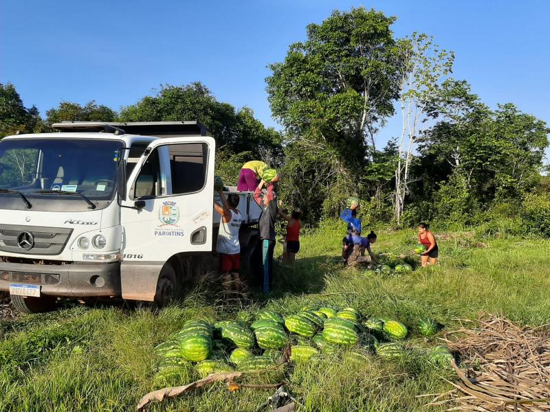 Sempa e Prefeitura de Parintins lançam primeira compra da produção rural nesta segunda-feira