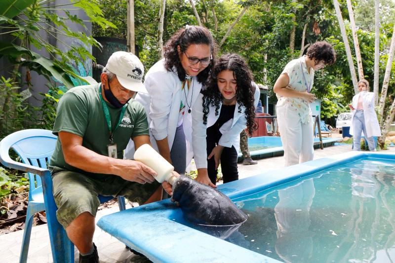 Estudantes e docentes do Amazonas podem se inscrever na banca de estudo do Programa Futuras Cientistas