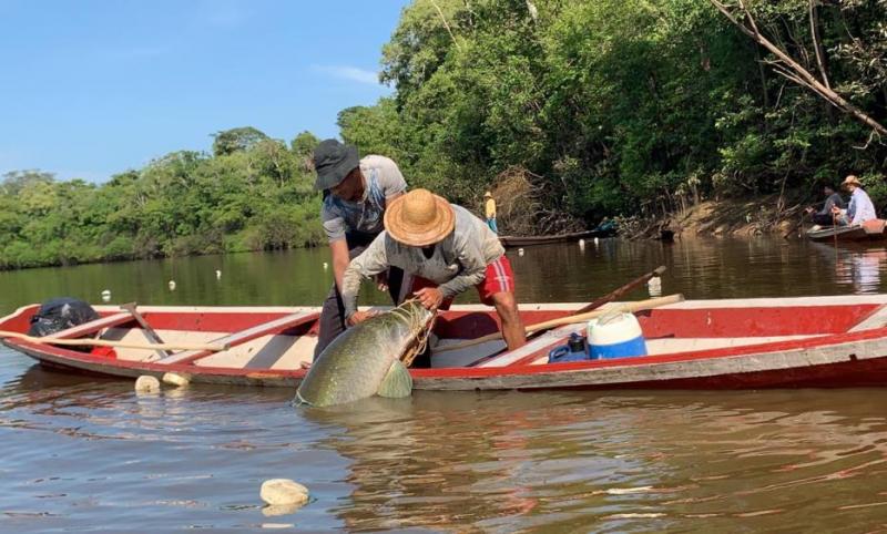 No Dia Internacional da Luta Contra a Pesca Ilegal, ADS destaca programas do setor pesqueiro alinhadas ao desenvolvimento sustentável 