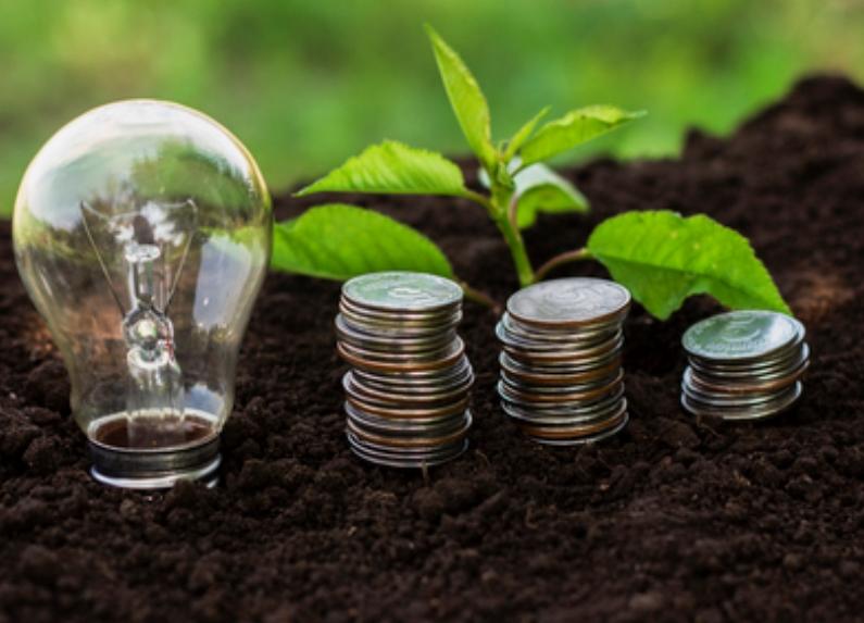 Mercado de carbono pode gerar US$ 120 bilhões para o Brasil até 2030