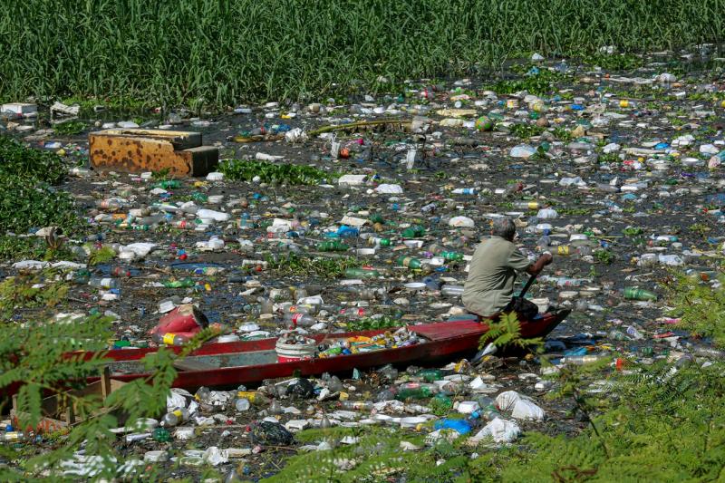 Semana do Meio Ambiente: apelo pela mudança de hábitos