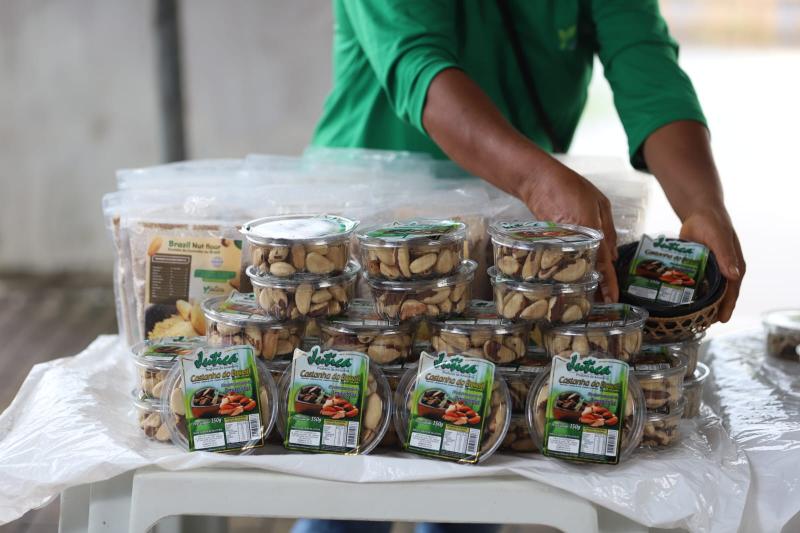 Em Tefé, Governo do Amazonas vai fortalecer a cadeia produtiva da castanha