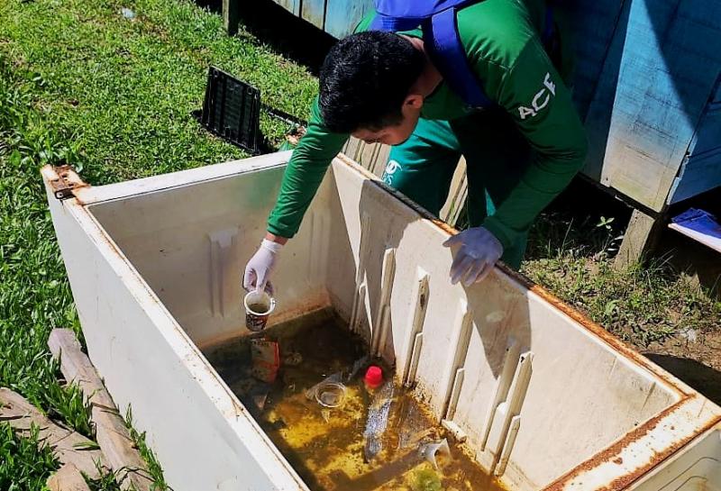 Dengue: Primeiro levantamento aponta que 69% dos municípios do Amazonas apresenta riscos baixo e médio para Aedes aegypti