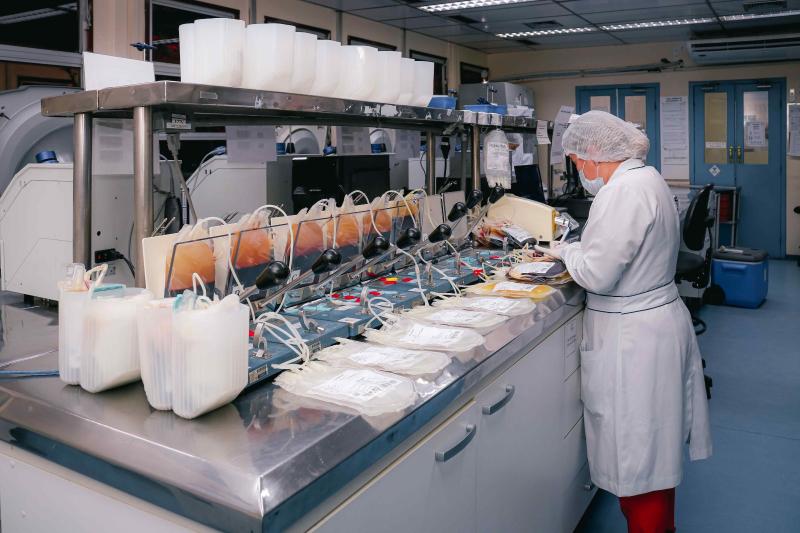 Hemoam implementa ferramenta para prevenir falhas durante as etapas do Ciclo do Sangue 
