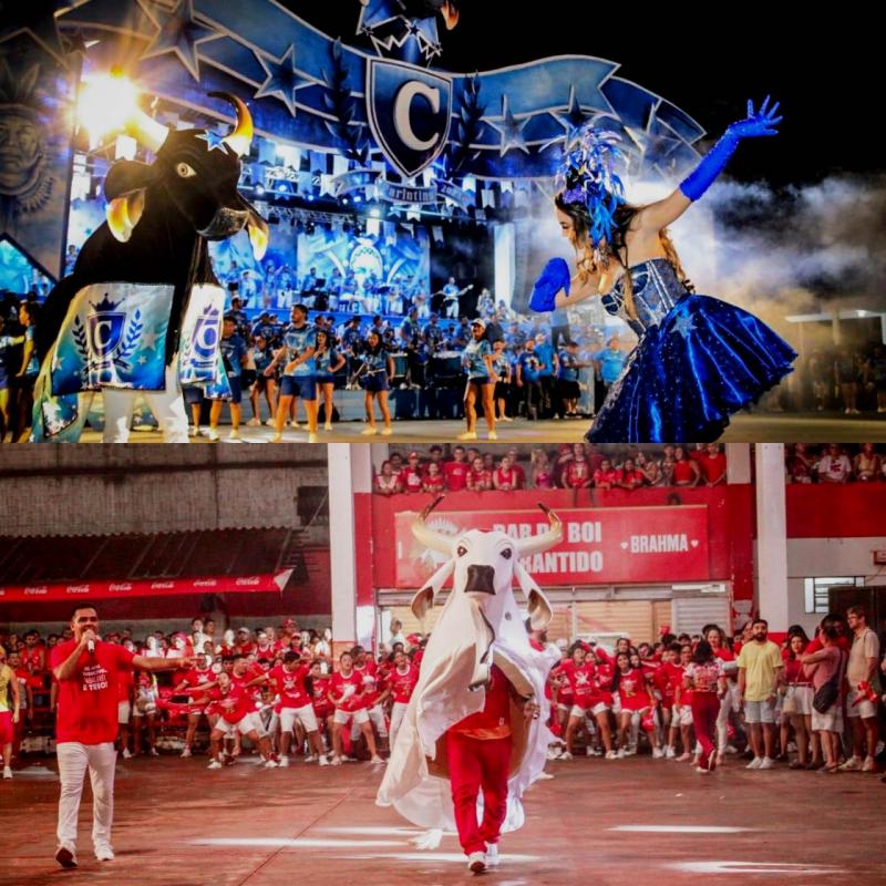 Clima de Festival: Caprichoso e Garantido realizam novo ensaio técnico