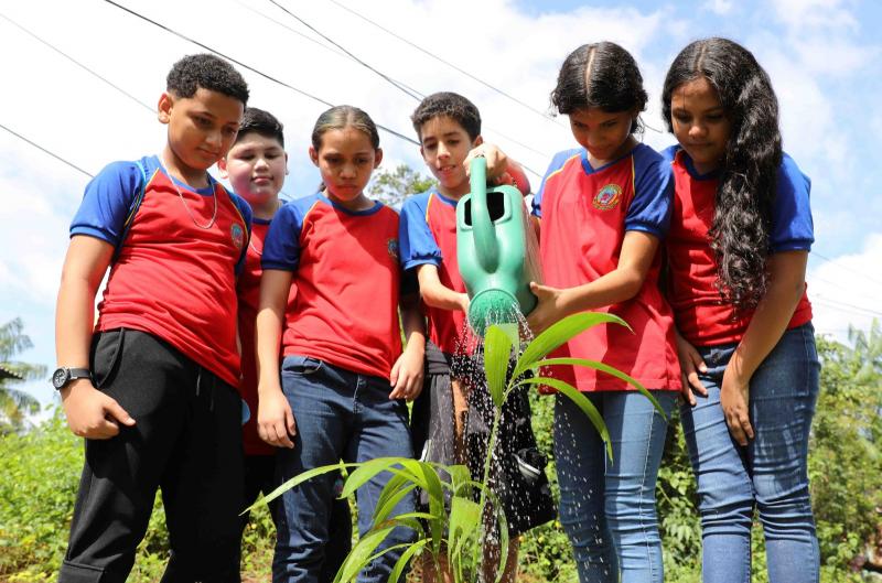Prêmio internacional abre inscrições para escolas com projetos de sustentabilidade