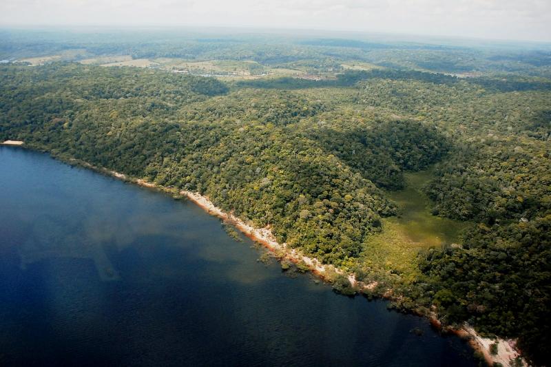 Desmatamento no Amazonas tem queda de 55% no primeiro semestre de 2023