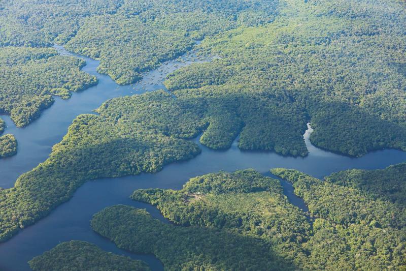 Amazônia ganha protagonismo