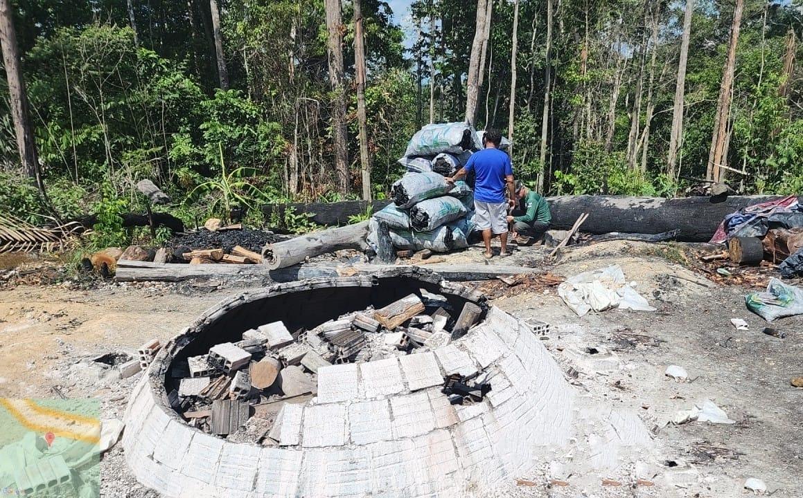Ipaam destrói 18 fornos ilegais de fabricação de carvão na AM 010