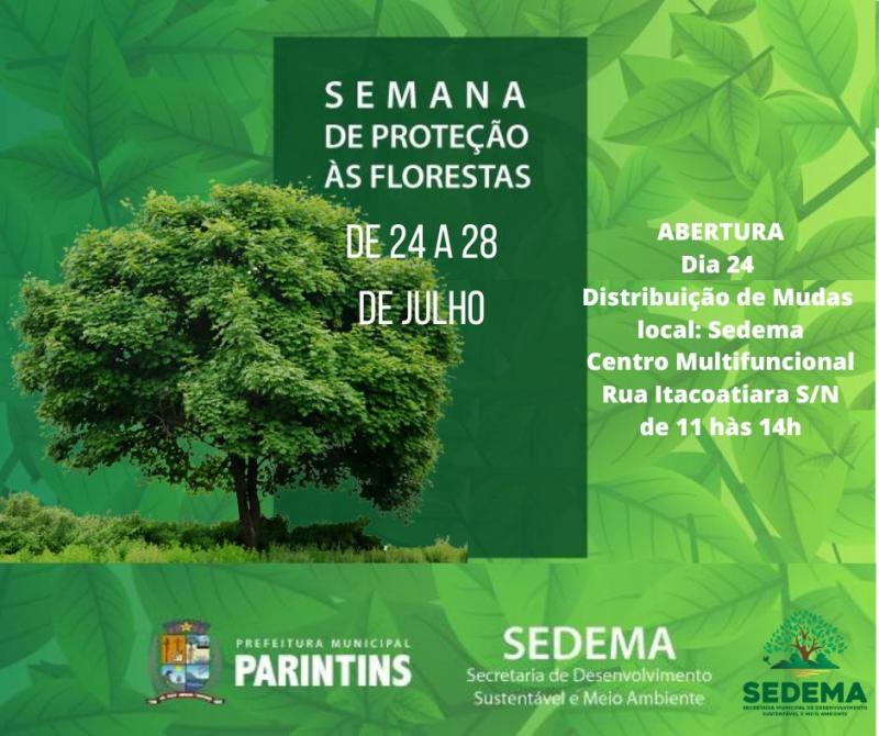 Sedema promove ações ambientais e distribuição de mudas na Semana de Proteção das Florestas