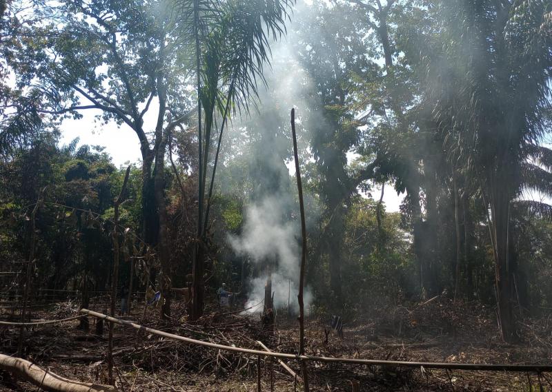 Com temperaturas acima da média, Bombeiro de Parintins alerta sobre queimadas urbanas e rural
