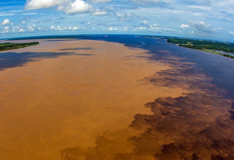 Amazonas é destaque em campanha na Times Square nos EUA