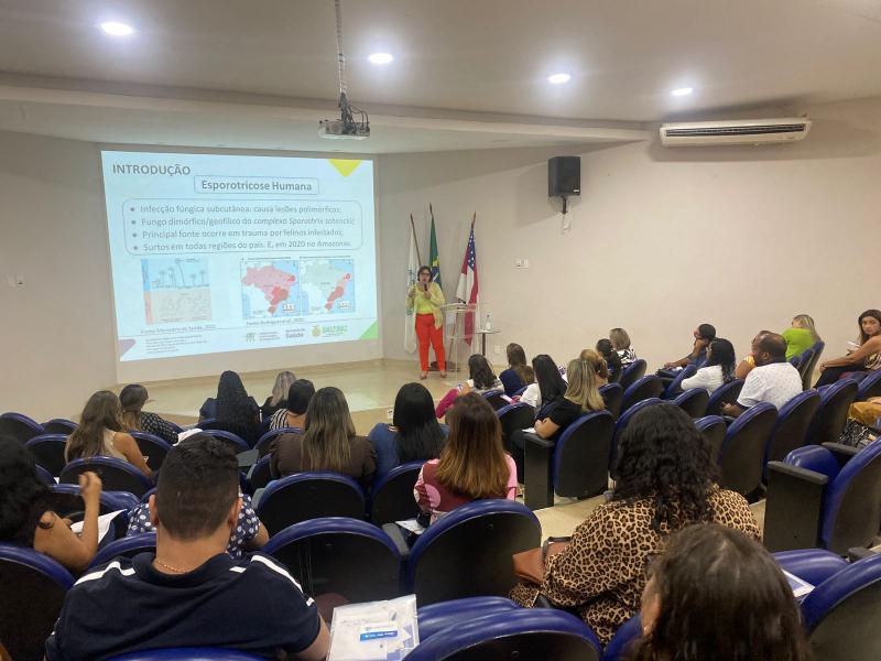 Experiências de prevenção e controle de doenças são compartilhadas para gestores de saúde municipais