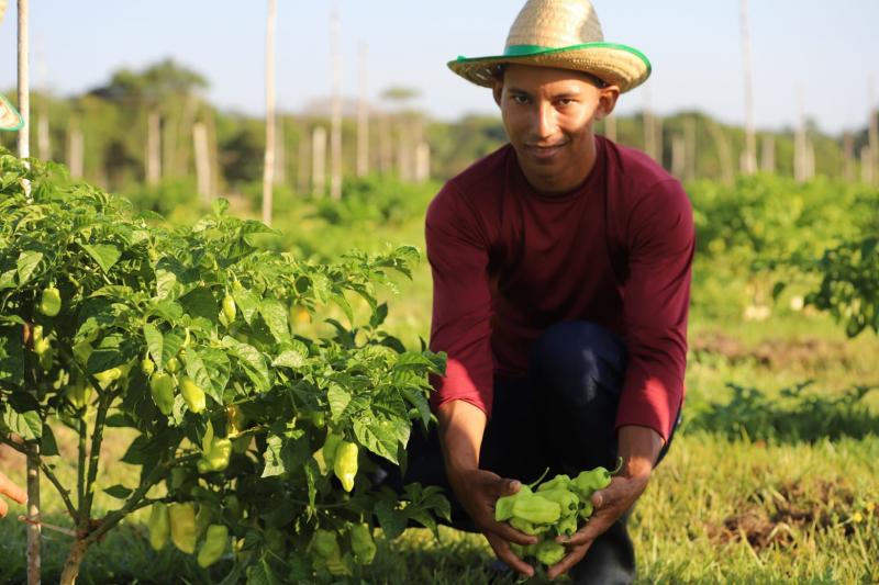 Governador Wilson Lima anuncia edital com R$ 8,5 milhões para agricultura familiar