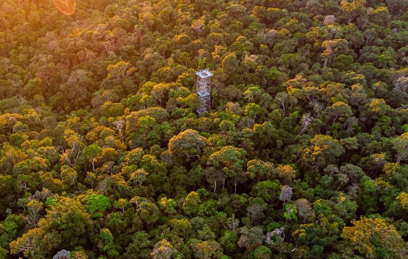 Atrações turísticas e meios de hospedagem do Amazonas recebem selo ‘Melhores dos Melhores 2023’ do TripAdvisor