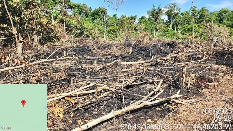 PC-AM deflagra Operação Curupira e identifica áreas desmatadas na margem direita do Rio Negro