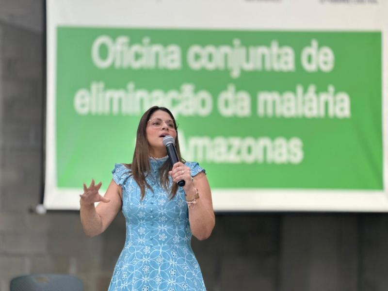 Eliminação da malária: segunda oficina encerra com fortalecimentos de planos de ação municipais contra a doença