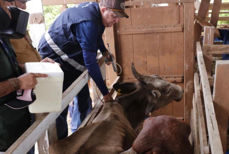 Adaf celebra 11 anos e lança selo comemorativo