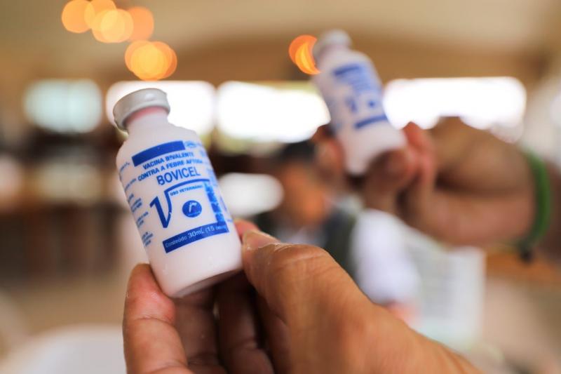 Febre aftosa: Adaf alerta produtores para o fim do prazo de notificação da vacinação