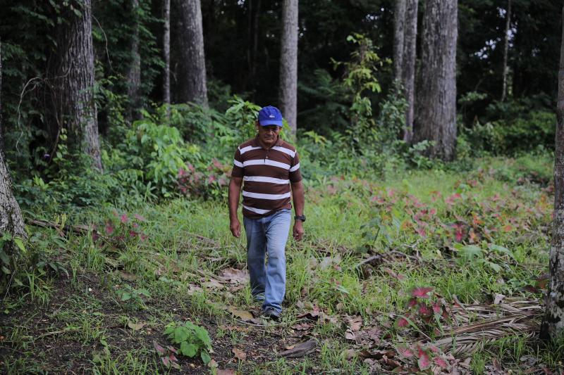 No Dia da Amazônia, Governo do Amazonas reforça necessidade de combater a pobreza para conservar florestas