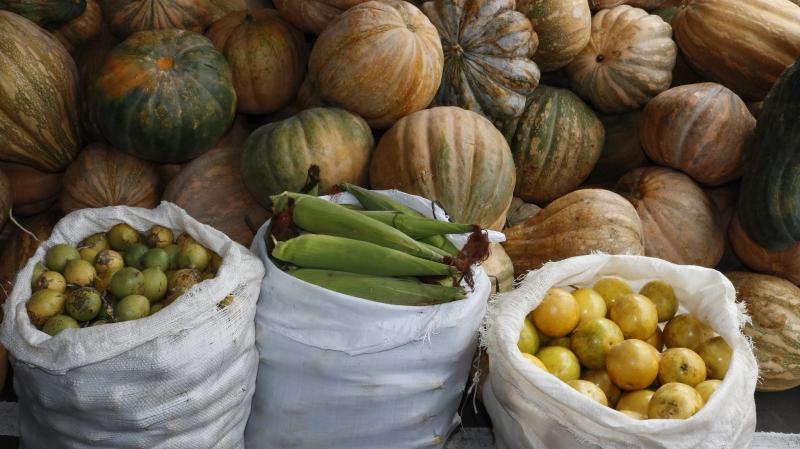 No Amazonas, inscrições para o edital do Programa de Aquisição de Alimentos encerram nesta sexta-feira